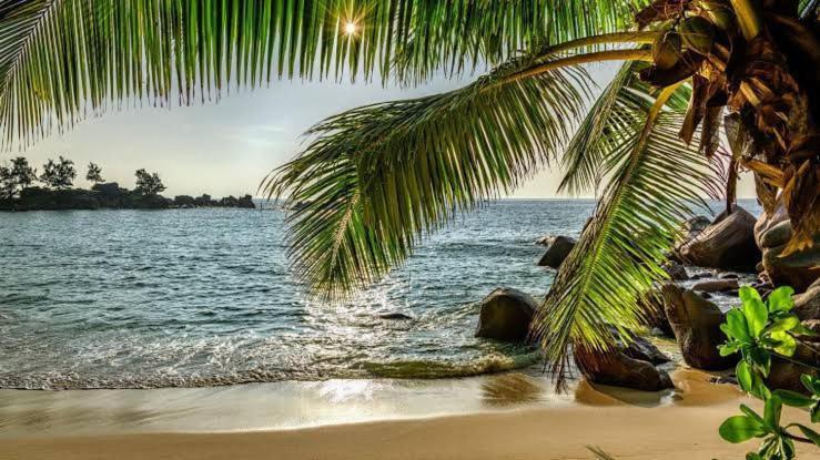 Baga Beach Prime 外观 照片